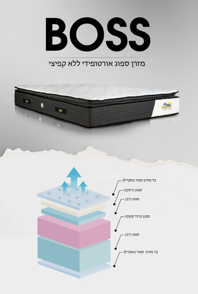 בוס-4.jpeg