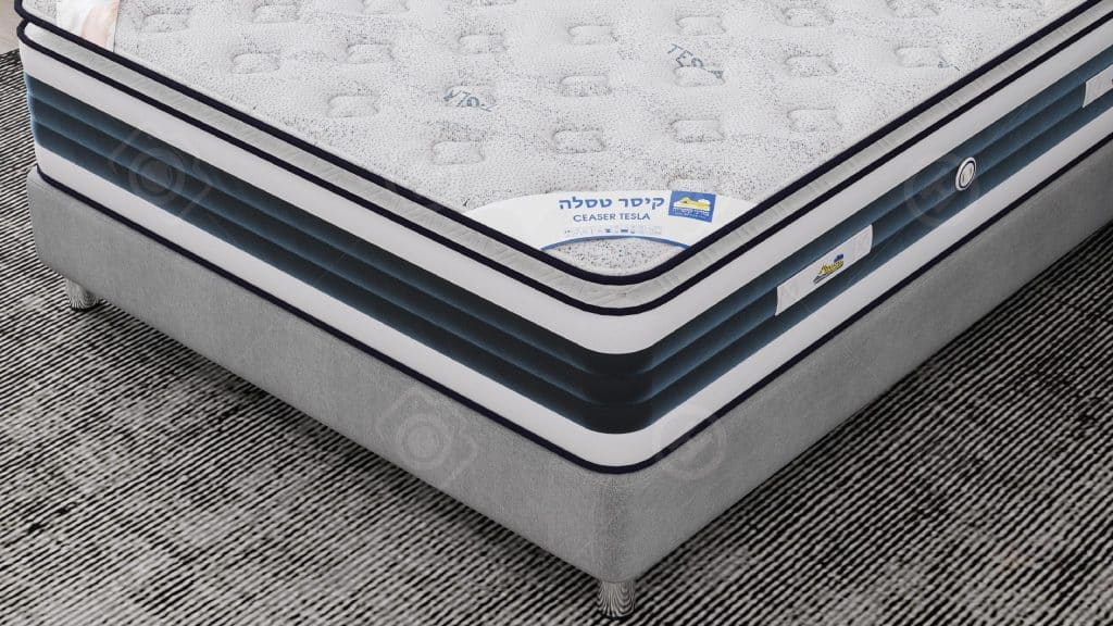 טסלה-2-scaled-1.jpg