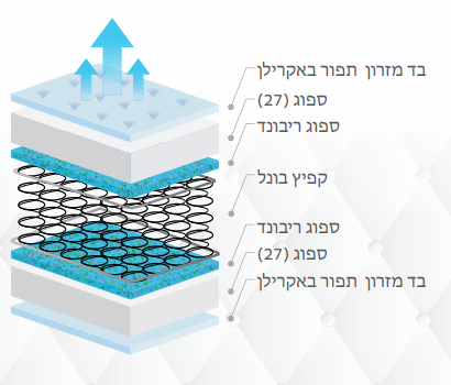 פלייזיר1-2-410x350-1.png