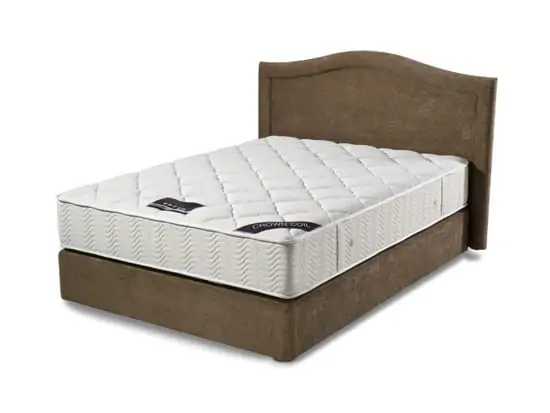 פרדייז-רפסודיה.webp
