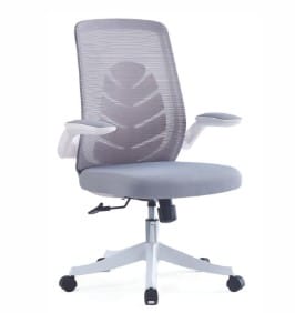 צילום-מסך-2025-03-09-120729-1.jpg